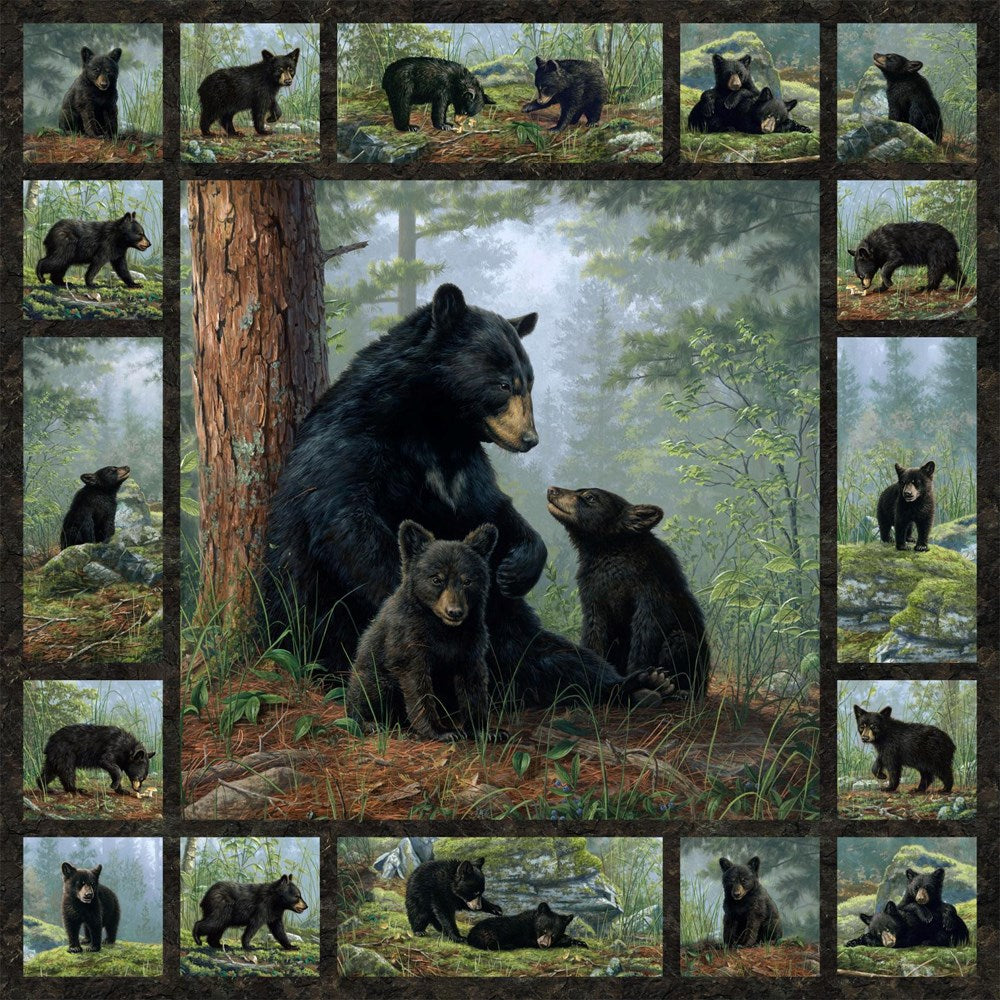 BEAR PANEL - BLACK MULTI ll BEAR&#39;S DEN ll Northcott